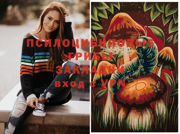 прущие грибы Арсеньев
