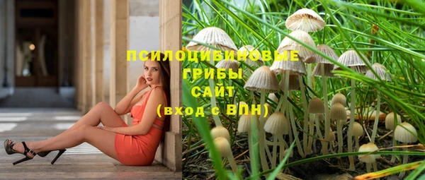 прущие грибы Арсеньев