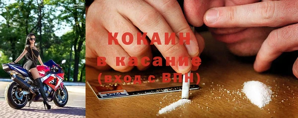 прущие грибы Пестово