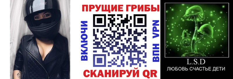 Галлюциногенные грибы Magic Shrooms  купить закладку  Усть-Илимск 